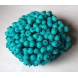 Калина в інеї (цукрі) : Калина бірюза в цукрі