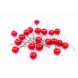 Калина гладка розсипом: Червона 15 мм